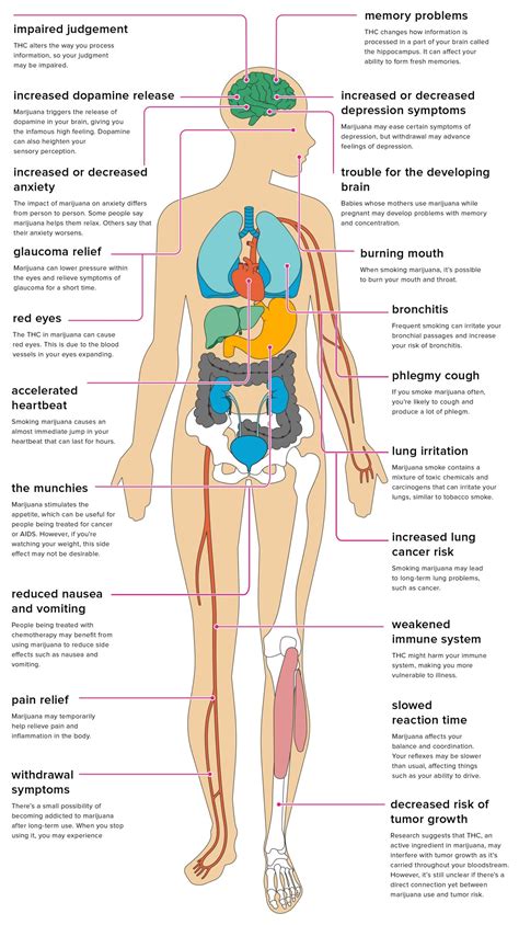 Does this sound normal for food poisoning? The Effects of Marijuana on Your Body