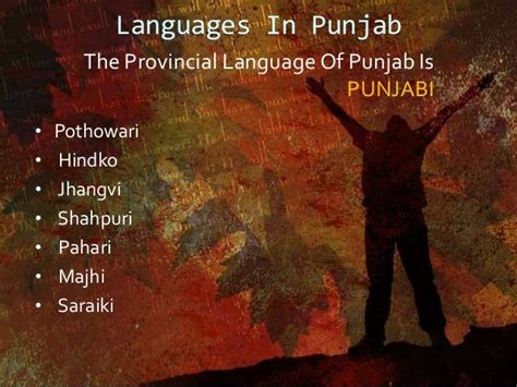 Cultural Colors Of Punjab