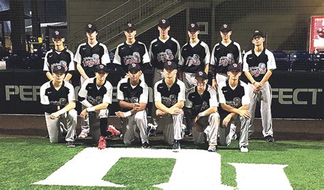 Of the 1,530 players selected, 1,323 had attended a perfect game event, and 294 of the first 331 picks were perfect game alumni. Two local athletes participate in Elite Baseball ...