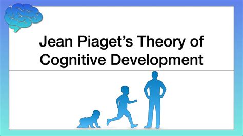 Piaget Theory Of Cognitive Development Schema What Are The Four