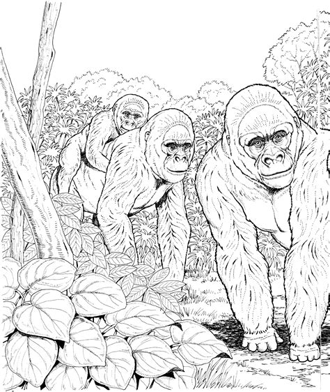 Free Gorilla Coloring Pages