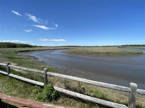 Scarborough Marsh Nature Center Updated May 2024 15 Photos 92