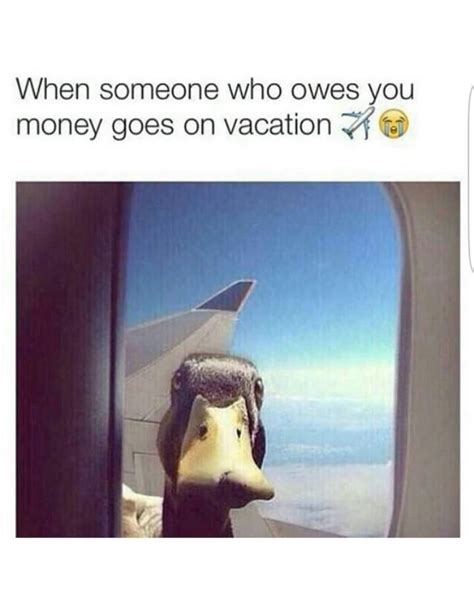 50 Funny Travel Memes Work Hard Travel Well