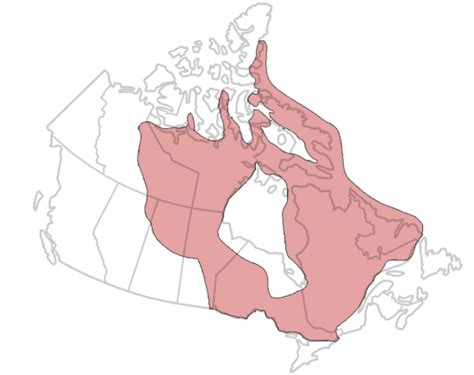 Canadian Shield The Canadian Encyclopedia
