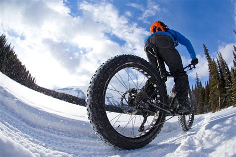 Winter Fat Bike Exploration Stock Photo Download Image Now Istock