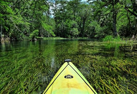 Check spelling or type a new query. Silver Springs State Park | Florida State Parks