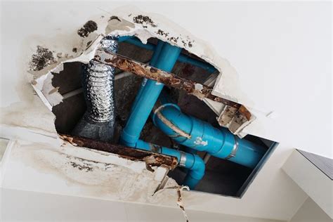 Plumbing Service Help When Your Home Starts Showing Leaks Home Repair