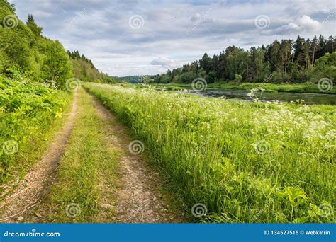 Landscape With Curvy Road At Bright Summer Day Stock Photo Download 1c9