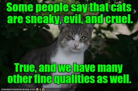 Lolcats Evil Lol At Funny Cat Memes Funny Cat