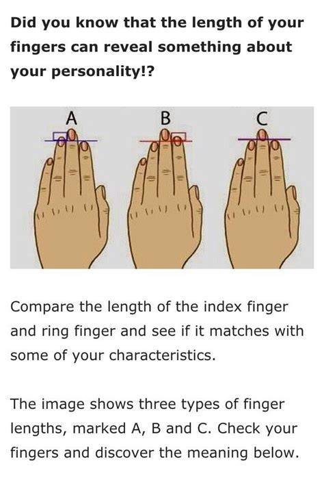 does your finger length represent your personality personality finger representation