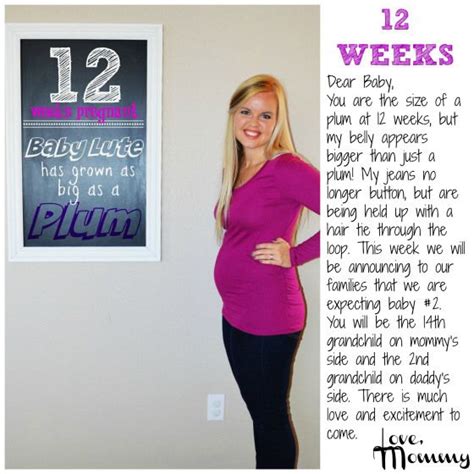 Pregnancy Week 12 Baby Bump Babypregnancy