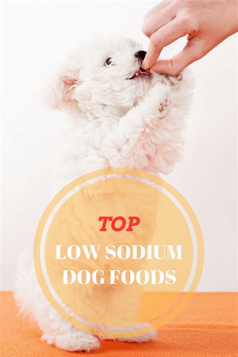 Processed food such as mac and cheese or potato or rice mixes. The Best 4 Low Sodium Dog Foods 2021 Buyer's Guide | Dog ...