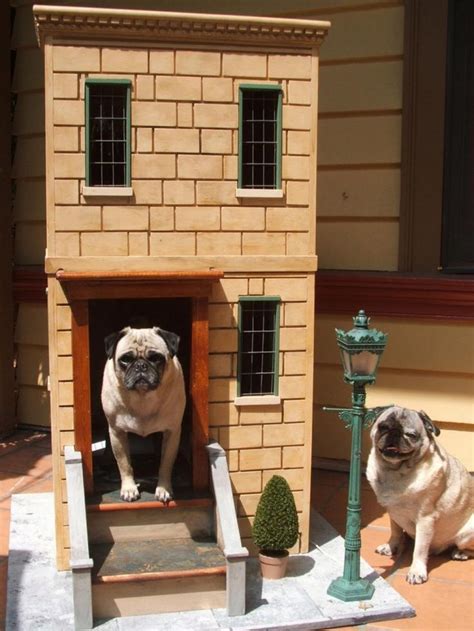 Get Creative With Your Dogs House City Dwellers Buster And Bruno Show