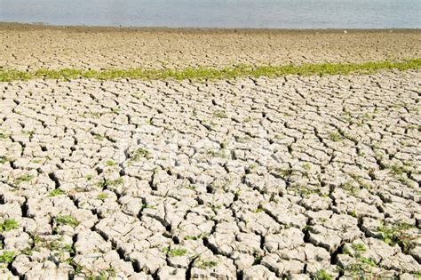Dry Stock Photos - FreeImages.com