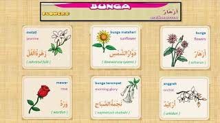 Bunga Dalam Bahasa Arab Panggilan Mesra Bahasa Arab Kata Sayang Dan