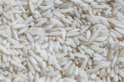 White Rice Grains Stock Image Image Of Cuisine Organic 83383053