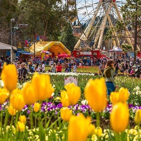Floriade Australias Premium Celebration Of Spring Has Returned For