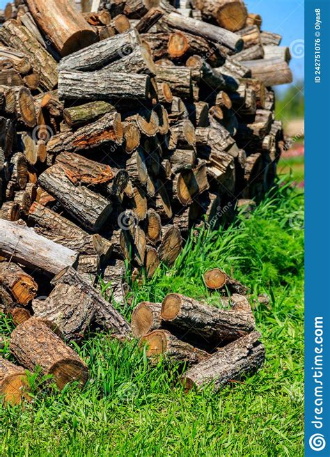 Pile Of Firewood On Green Lawn At Backyard Stock Photo Image Of Plant