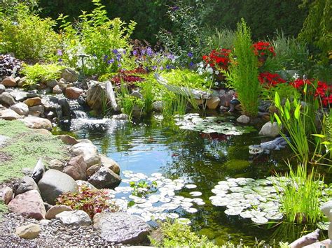 Spring Fed Pond Landscape Traditional With Garden Ponds Contemporary
