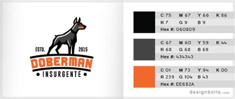 10 Best 3 Color Combinations For Logo Design With Free