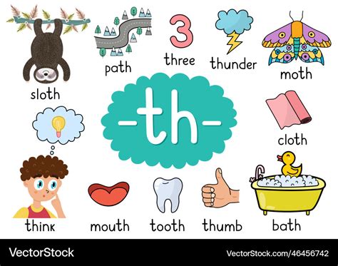 Th Digraph Spelling Rule Educational Poster Vector Image