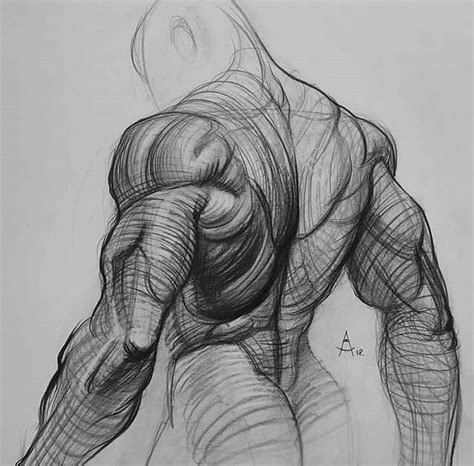Pin By Sanata Dairr👩🏻‍🎨 On Anatomy Anatomi Human Anatomy Drawing