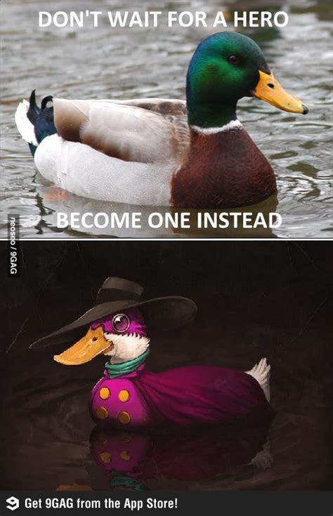 Actual Advice Mallard Best Funny Pictures Memes Hilarious