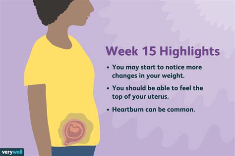 15 Weeks Pregnant Symptoms Baby Development And More