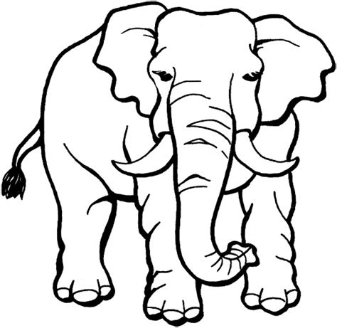 9 Jungle Animals Coloring Pages Disney Coloring Pages