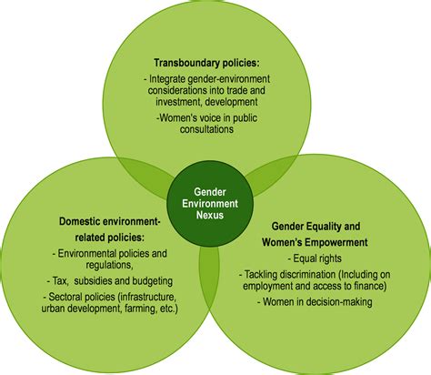 Towards A Joint Gender And Environment Agenda Gender And The