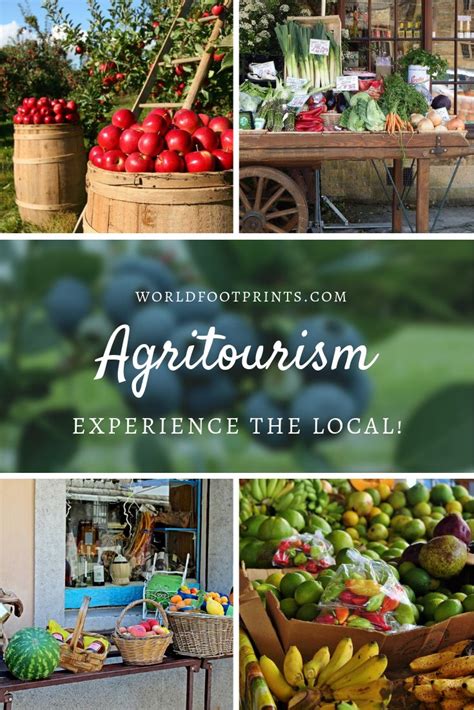 Taste The Local Lifestyle With Agritourism Agritourism Agritourism