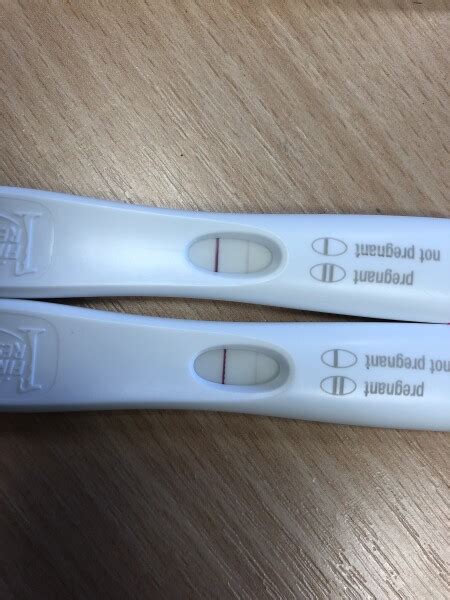 Peak Ovulation Test 6 Days Ago Faint Positive Pregnancy Test Already