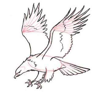 Gambar burung cendrawasih hitam putih koleksi gambar terbaru. Tutorial Belajar Menggambar - Rumah Inspirasi