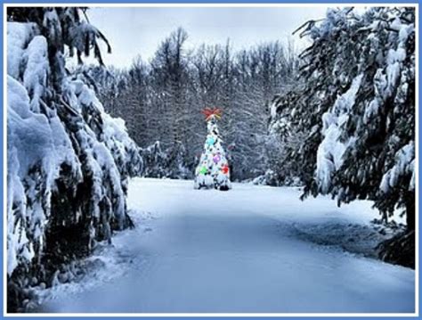 Peaceful Christmas Snow Scenes