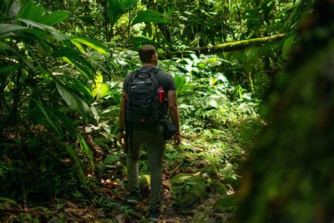 Into The Jungle Ten Tips To Help You Prepare Adventure Medic