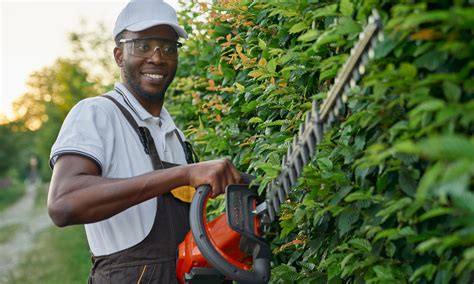 Which Tests New Hedge Trimmers To See Which You Should Buy This Summer