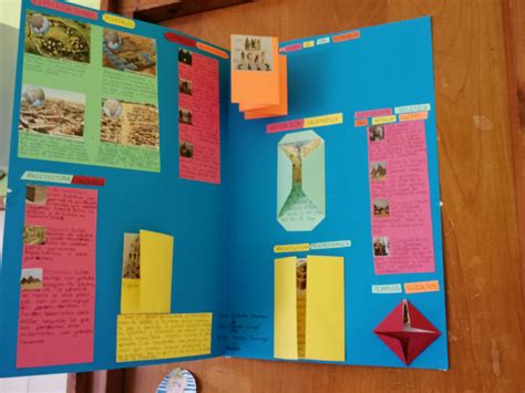 Ideias De Lapbook De História