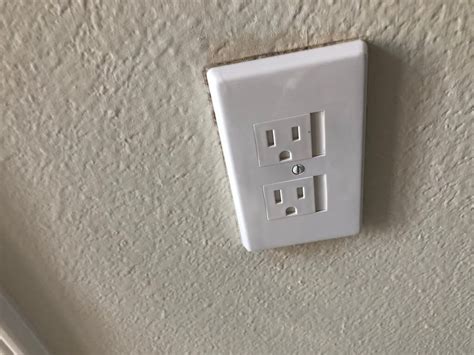 Best Plants To Keep Bugs Away From Pool - 19 Plants That Repel Mosquitoes