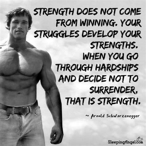 Pin By Jamie Bruno On Fitness Arnold Schwarzenegger Quotes