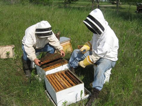 Your satisfaction is paramount to us! Live Bee Removal San Diego - USA Live Bee Removal