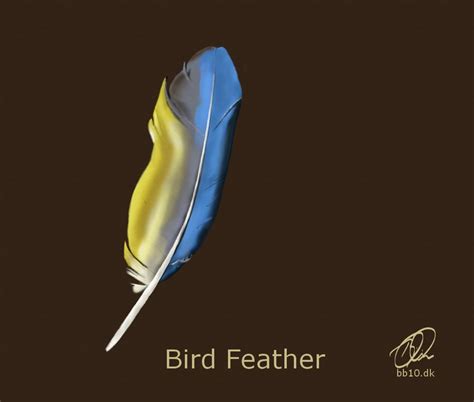 Bird Feather • Bb10 Around The World Bird Feathers Featers Are Th