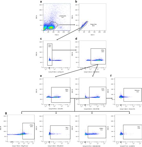 Figure S3 Flow Cytometry Gating Strategy For Intracellular Cytokine
