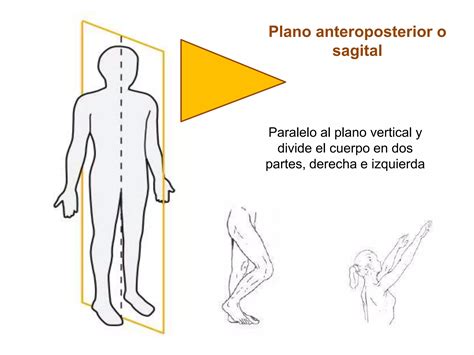 Posicion Y Planos Anatomicos PPT