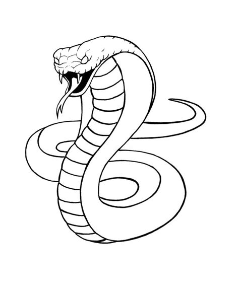 Cobra Snake Head Drawing At Explore Collection Of