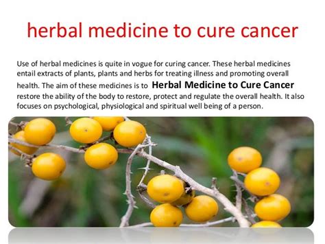Herbal Medicine To Cure Cancer