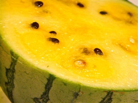 Many Means Yellow Watermelon