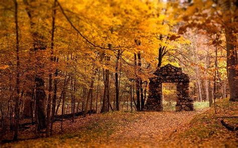 Paisaje de otoño dorado clásico HD fondo de pantalla Lista de álbumes