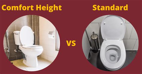 Comfort Height Toilet Vs Standard Toilet What Is Best