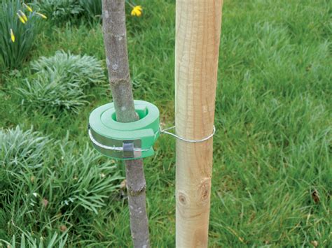 Tree Stakes And Tree Ties Uk