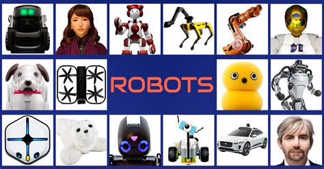 Types Of Robots Describe Main Types Of Robots Based On Their Functionality